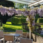 terras1