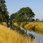 tuin wandel1