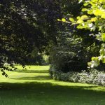 tuin1