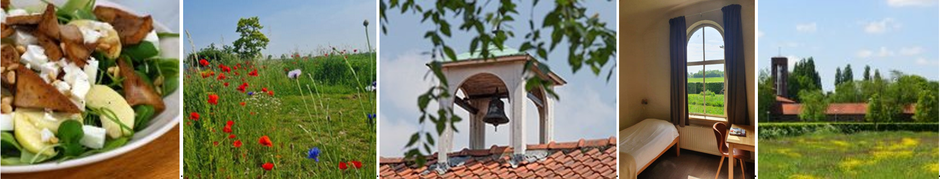 banner zomerverblijf